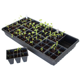 Handy Pantry BPA-free polystyrene inserts provide safe durability for seeds.