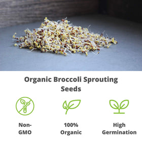 Handy Pantry heritage seeds provide reliable sprouting results.