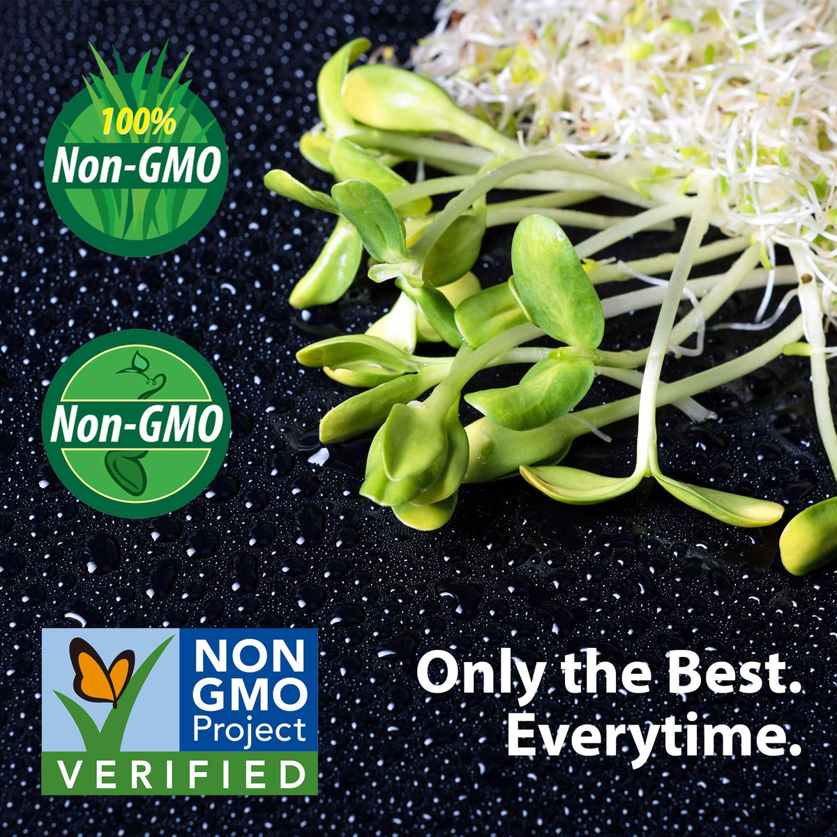 Made in USA: Handy Pantry seeds and support with OTCO-certified organic sourcing.