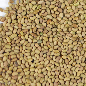 Handy Pantry organic alfalfa seeds bag labeled non-GMO.