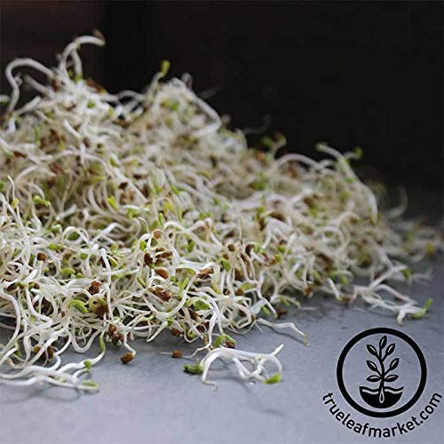 Handy Pantry organic certification label on alfalfa seed packaging