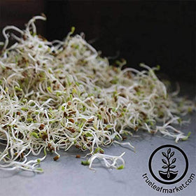 Handy Pantry organic certification label on alfalfa seed packaging