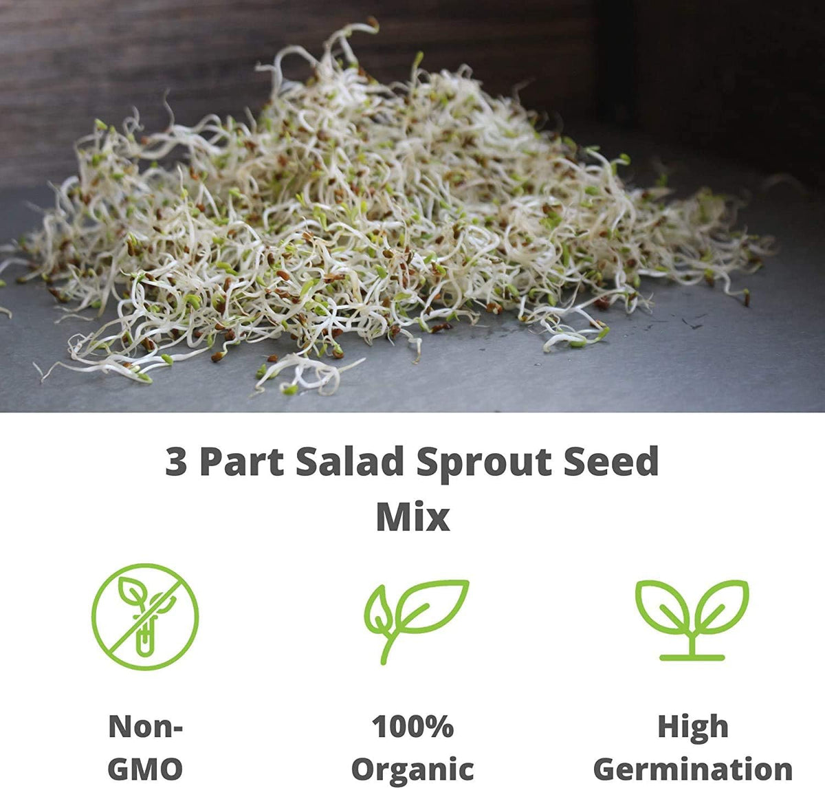Kitchen-ready Handy Pantry alfalfa seeds for daily sprouts