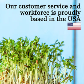 Organic broccoli sprouts kit offers fresh at-home sprouting possibilities.