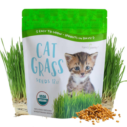 Handy Pantry Organic Cat Grass Seeds in 12oz bag for indoor germination and safe pet treats