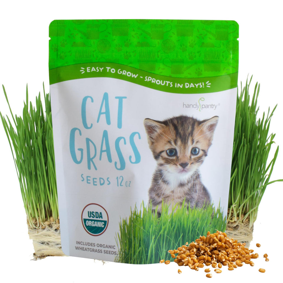 Handy Pantry Organic Cat Grass Seeds in 12oz bag for indoor germination and safe pet treats