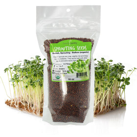 Handy Pantry radish sprouting seeds 1lb ready for indoor microgreens.