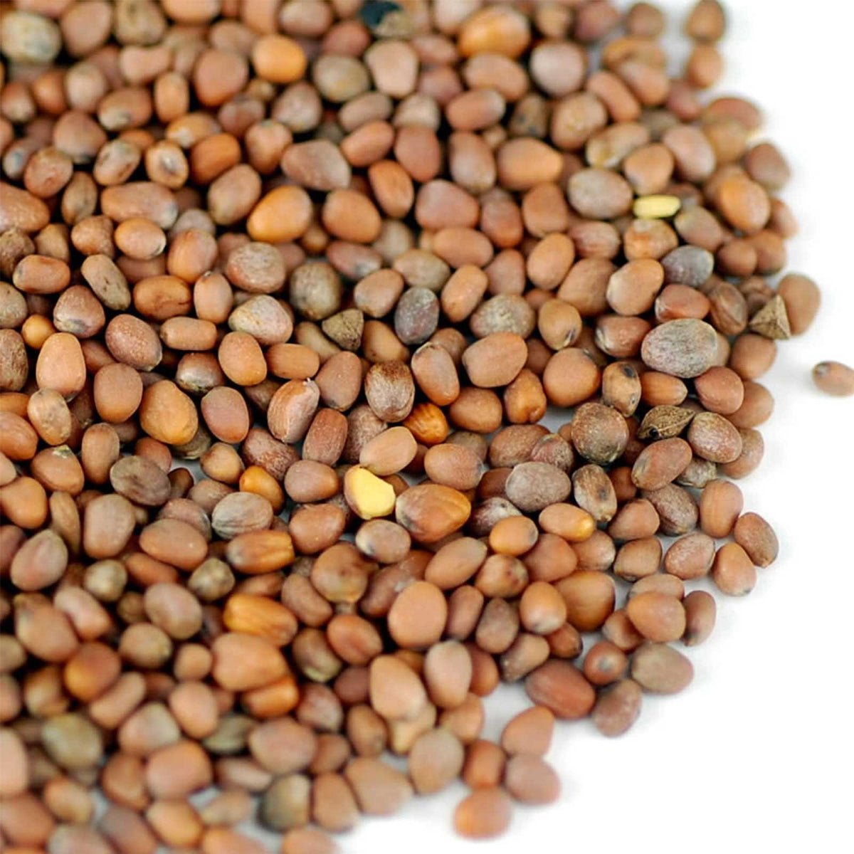 Handy Pantry non-GMO seeds in resealable pouch stay fresh longer.