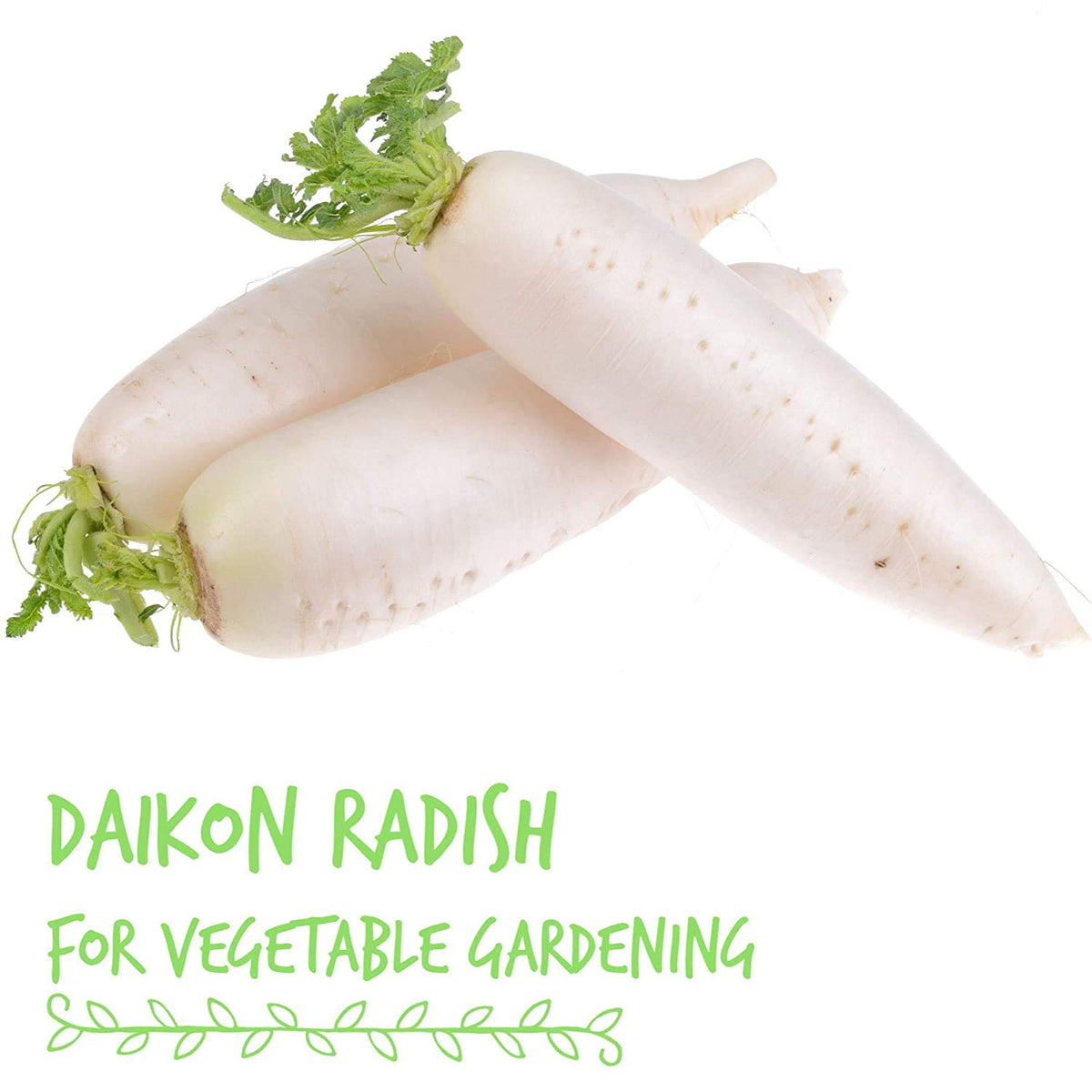 Handy Pantry seeds soaking steps for a quick, beginner-friendly sprouting process.