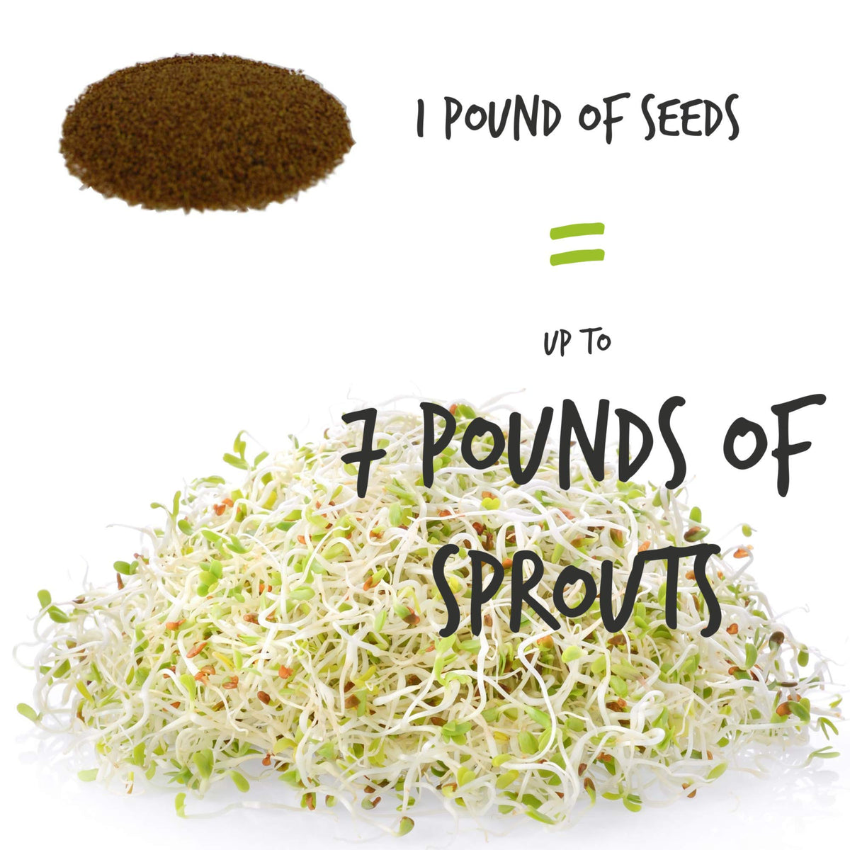 Handy Pantry sprouting jar kit shown with seeds.