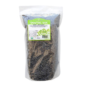 Sunflower seeds in a sprouting tray from Handy Pantry showing rapid green growth.