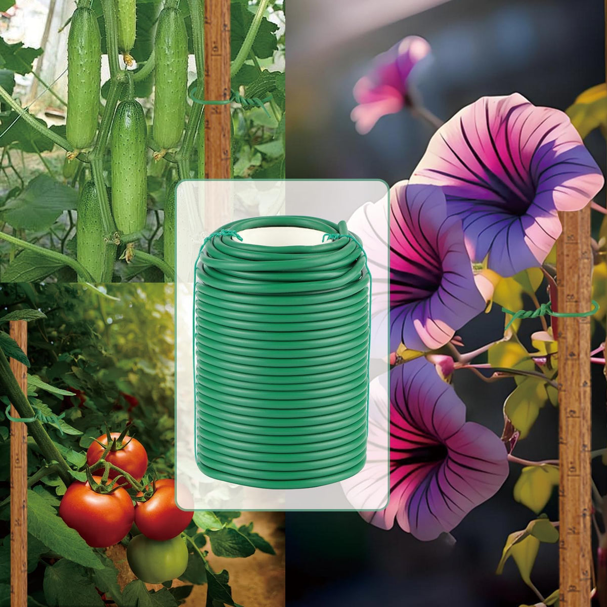 Hanload support on bamboo poles and garden stakes for training
