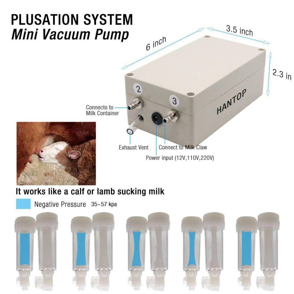 Hantop milking machine pulsation system with gentle teats massage for smooth flow