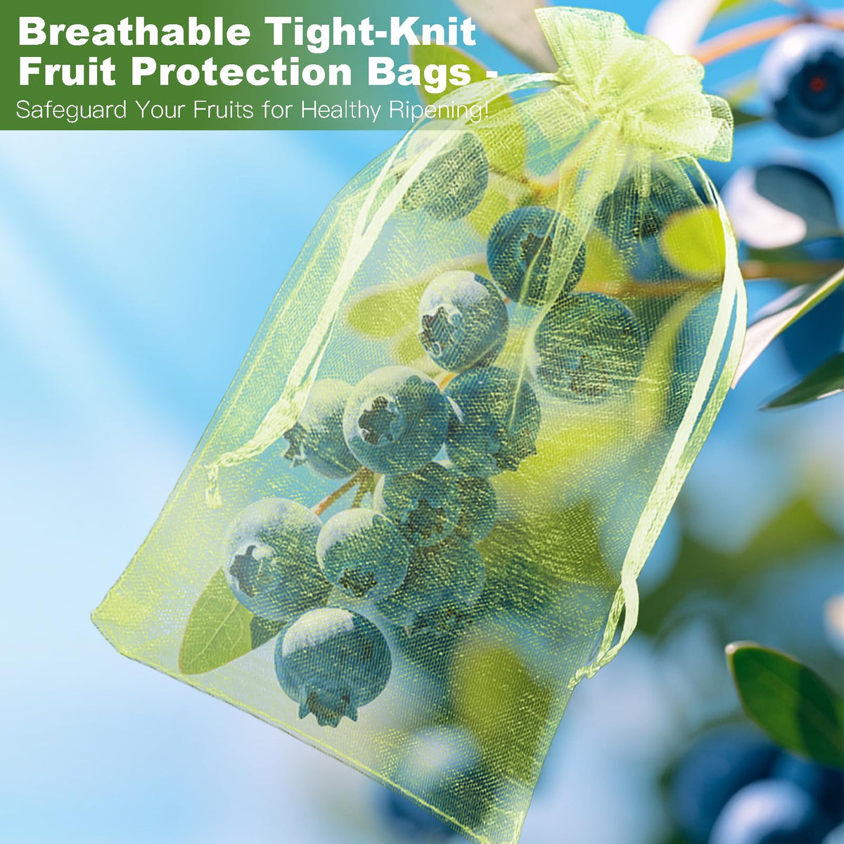 HANWRAPS view-through bag helps monitor fruit health