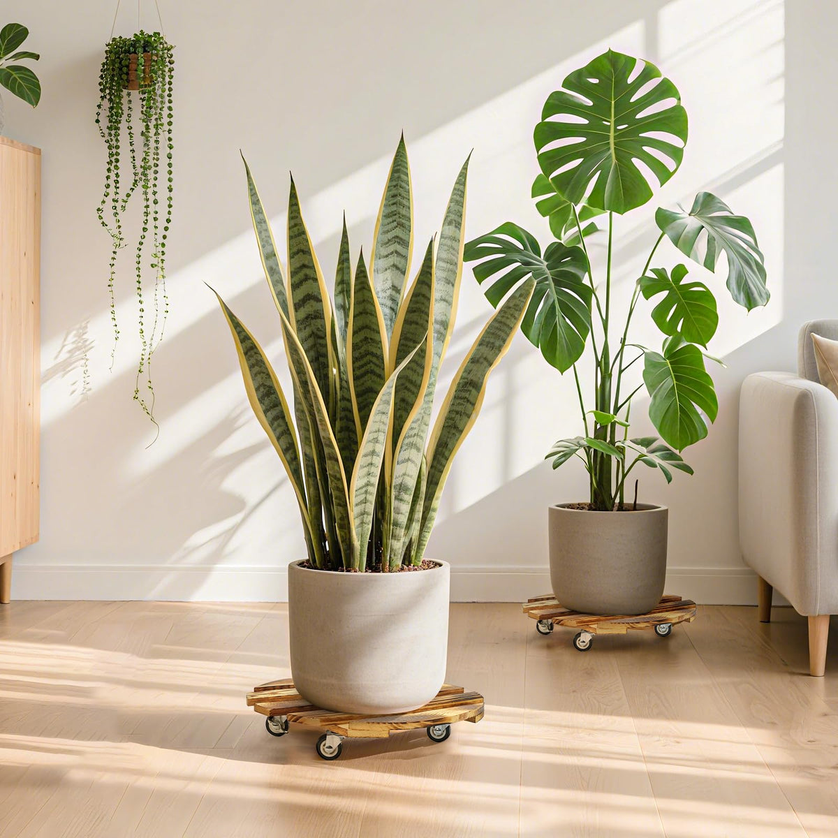 HAOIOKSC plant caddy wheels and assembly allow effortless repositioning of planters.