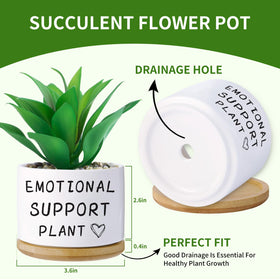 Haooxinwei ceramic plant pot with saucer for indoor use