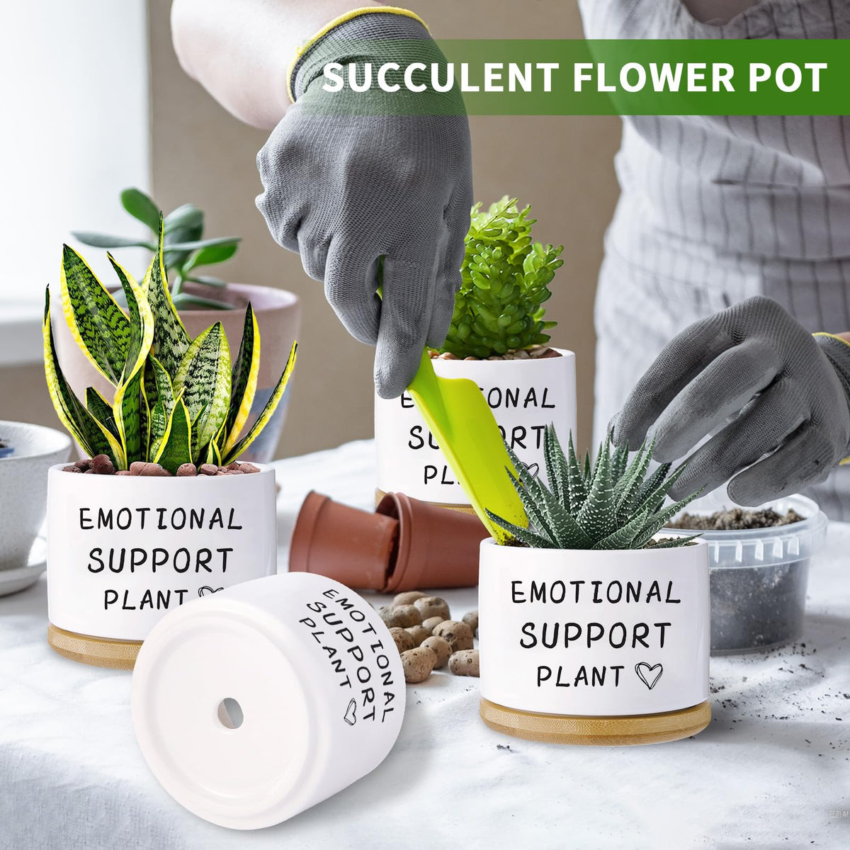 Haooxinwei glossy ceramic pot close-up showing premium finish