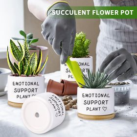Haooxinwei glossy ceramic pot close-up showing premium finish
