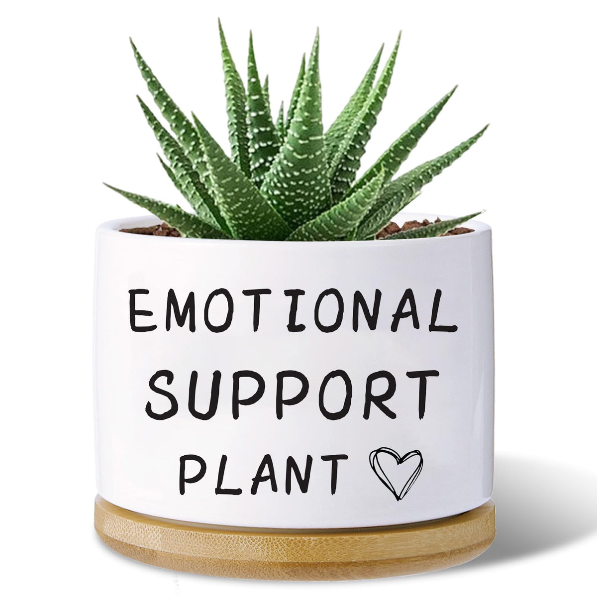 Haooxinwei emotional support plant pot with drainage hole for healthy moisture control