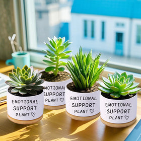 Haooxinwei gift-ready ceramic planter ideal for plant lovers