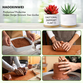 Haooxinwei mini succulent pot design adds charm to desks or shelves