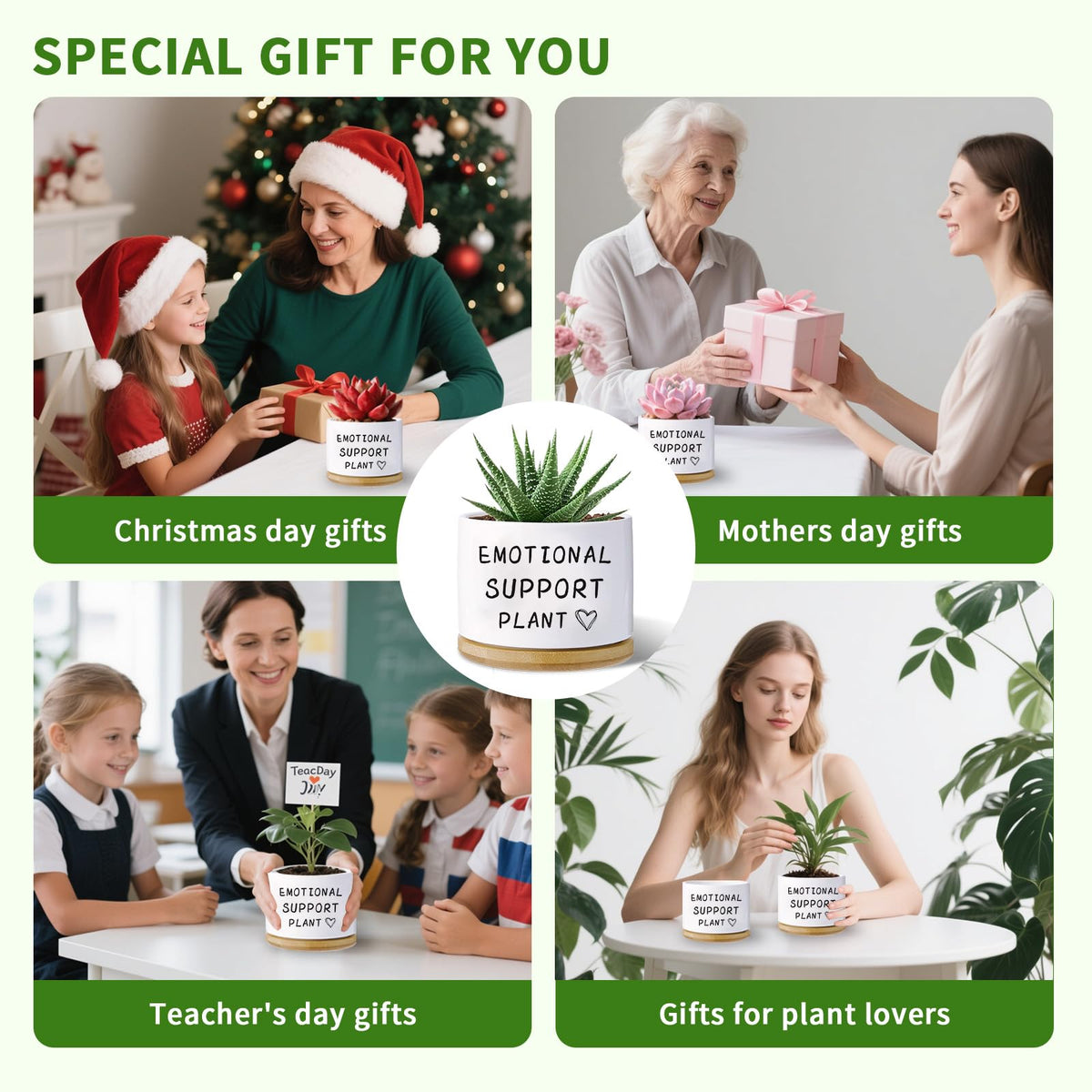 Haooxinwei unique planter gift for plant lovers and moms