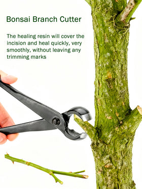 Haosie Bonsai Concave Cutter manganese steel blade durability
