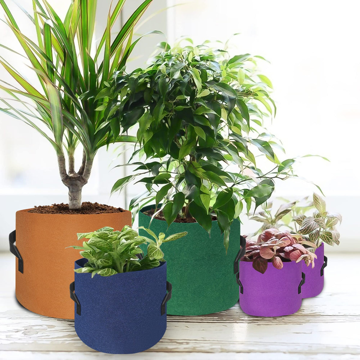 HAOWIN foldable design stores compactly for easy storage.
