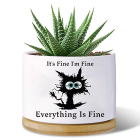 Haooxinwei black cat planter close-up showing drainage hole for healthy roots