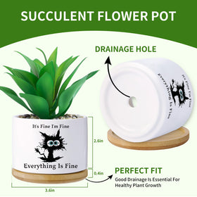 Haooxinwei black cat planter with saucer on a desk