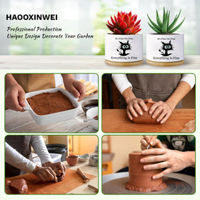 Haooxinwei cat-shaped ceramic pot featuring exclusive emotional support plant design