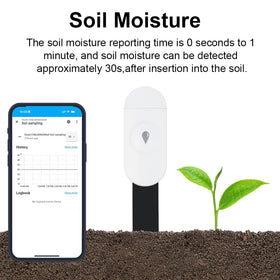 Haozee intelligent sensor in potted plant setup for proactive watering cues.