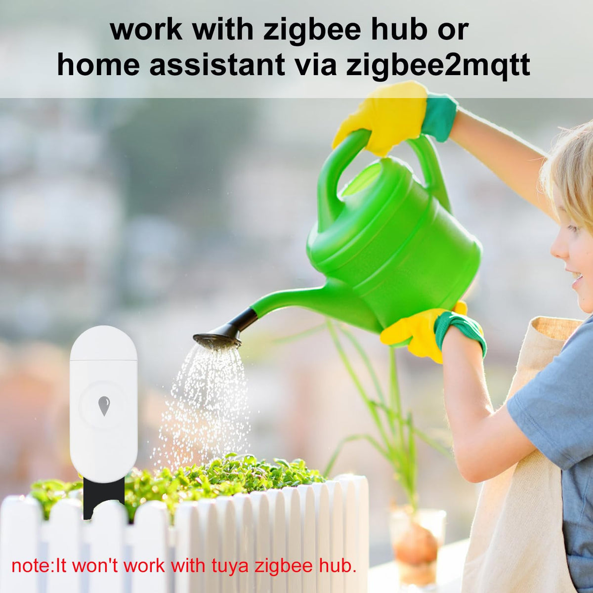 Haozee sensor setup with Zigbee hub for seamless smart home integration.