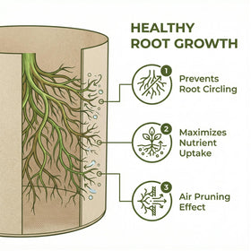 Haphomia easy-care-planting-accessory enables quick setup and maintenance