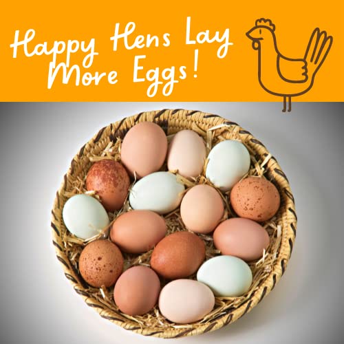 Chickens near Happy Trees Nesting Herbs enhancing coop aroma and comfort