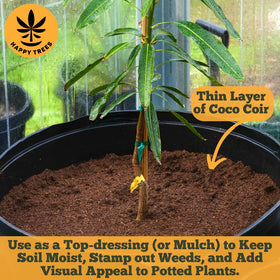 Happy Trees Coco Coir peat-free, sustainable growing medium for gardens