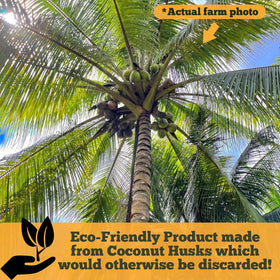 Happy Trees Coco Coir seed starting in trays promotes healthy roots