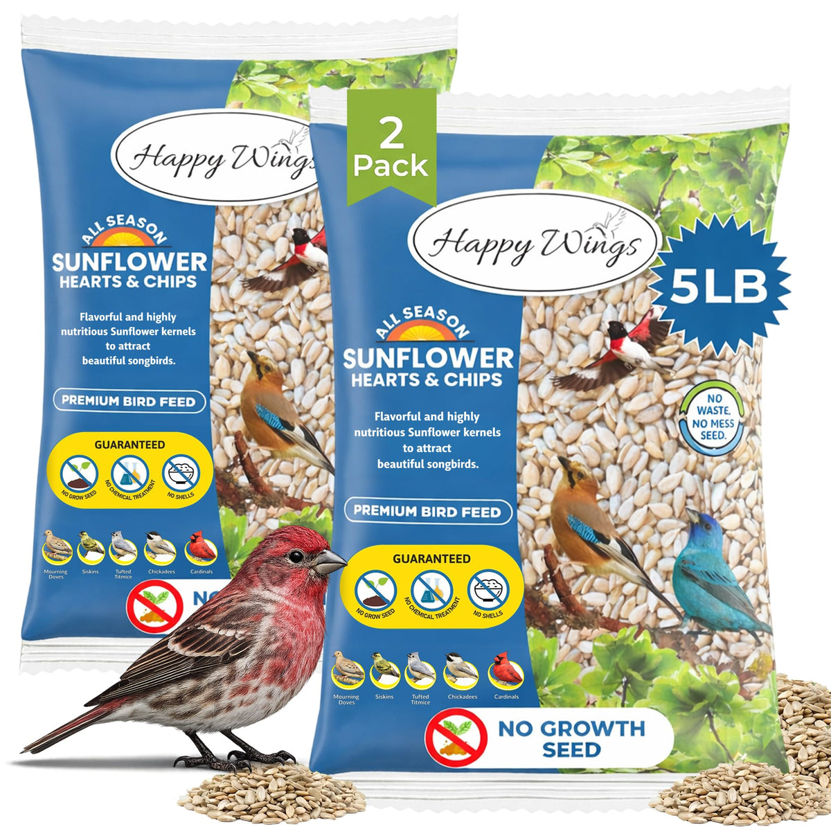 Happy Wings sunflower kernels display attract diverse wild birds
