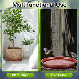 HappyAlley bird feeder dish doubles as seed and fruit tray for visiting birds