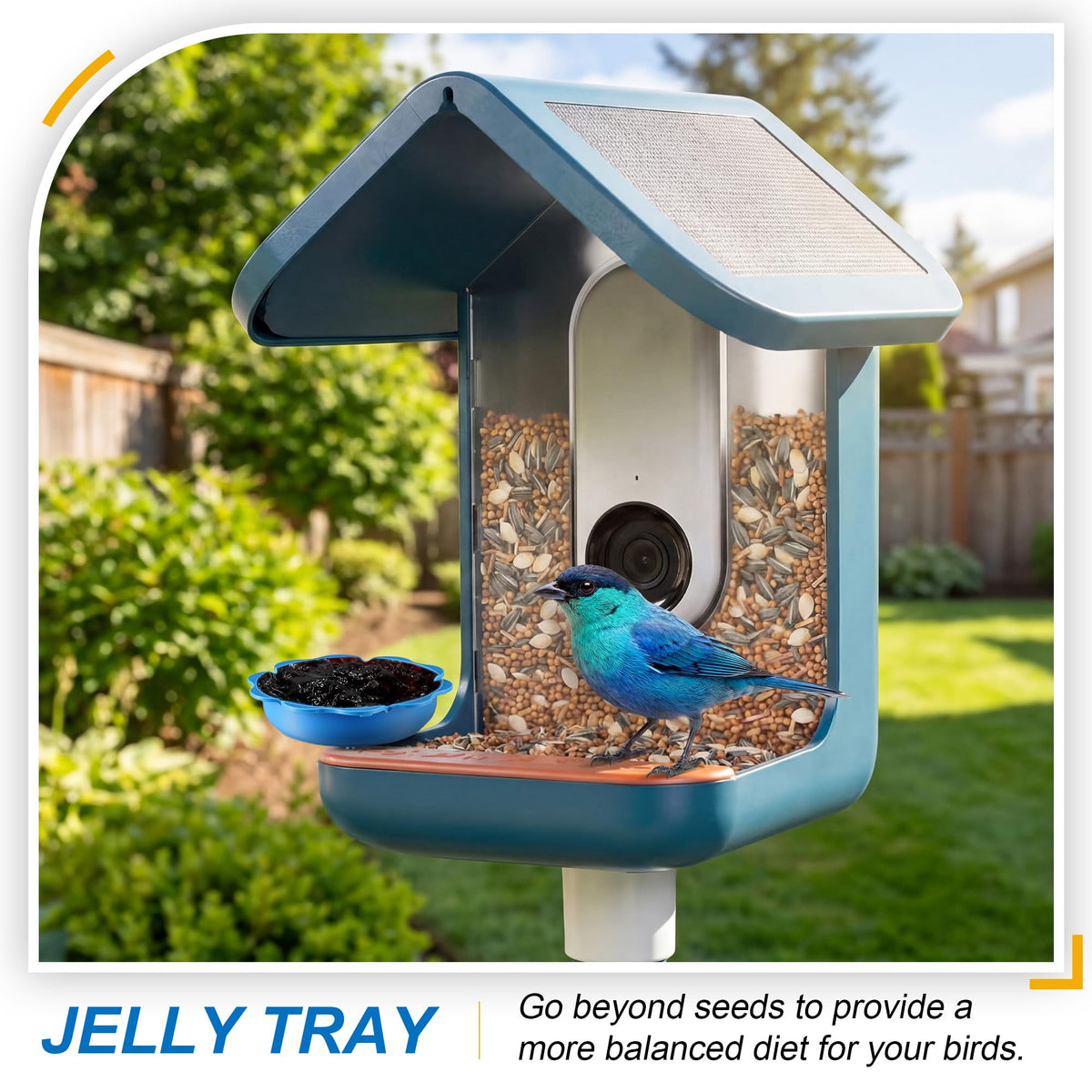 HappyAlley Blue Finish complements your feeder with style