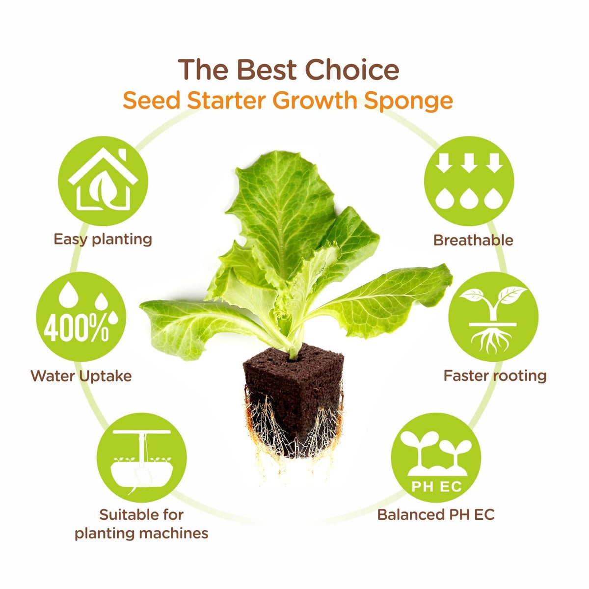 Hapxalie peat coconut coir plugs promote sustainable, healthy root development.