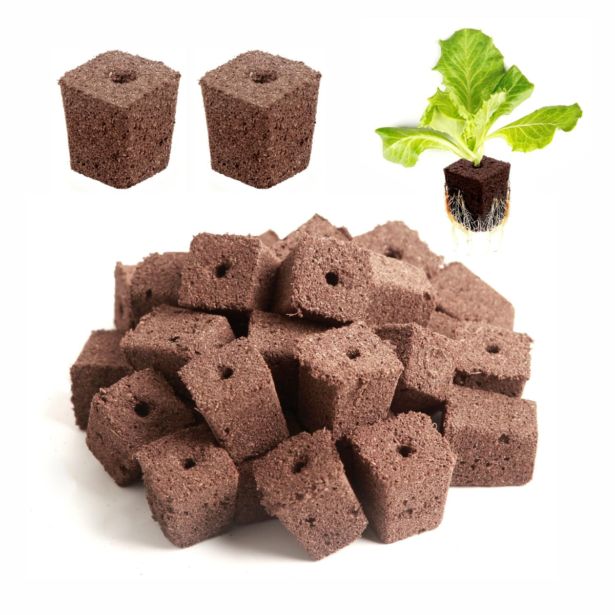 Hapxalie Root Riot starter plug bundle ready for seedling growth indoors or outdoors.