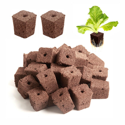 Hapxalie Root Riot starter plug bundle ready for seedling growth indoors or outdoors.