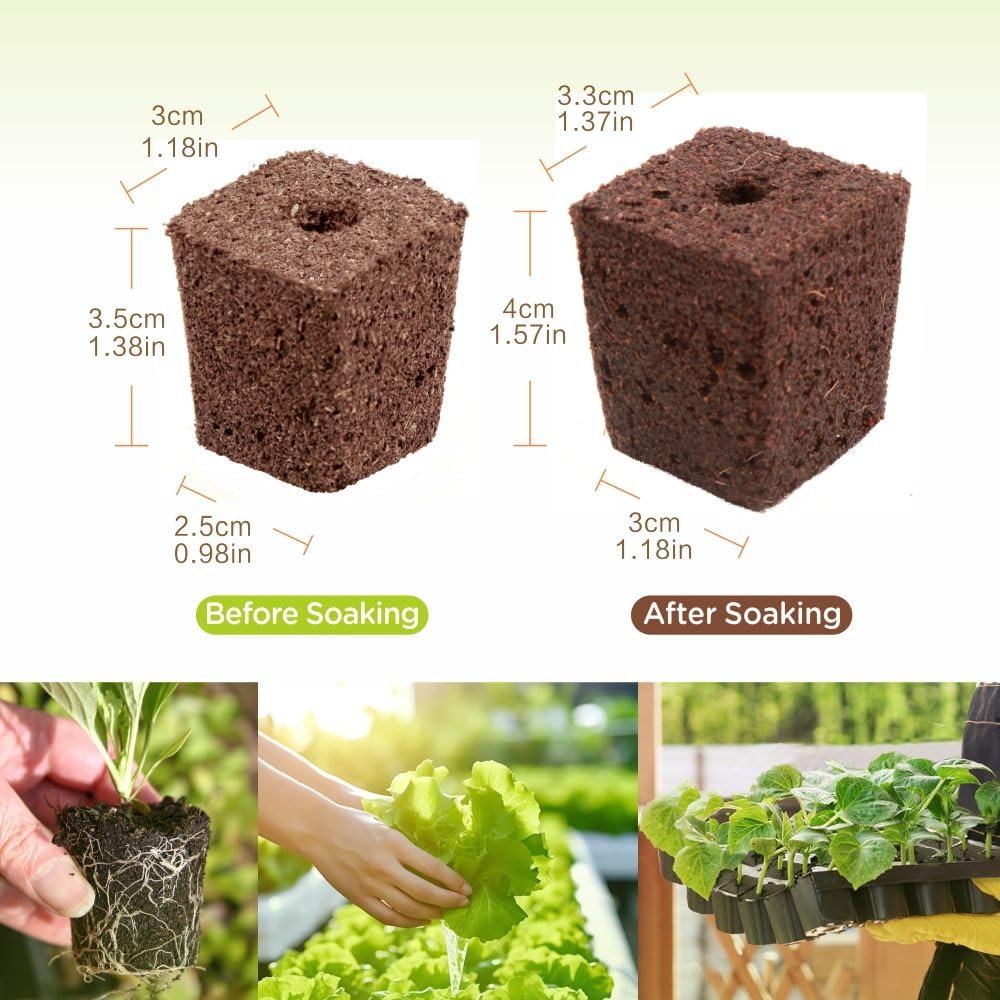 Hapxalie seedling blocks 75-pack designed for easy transplant and strong establishment.