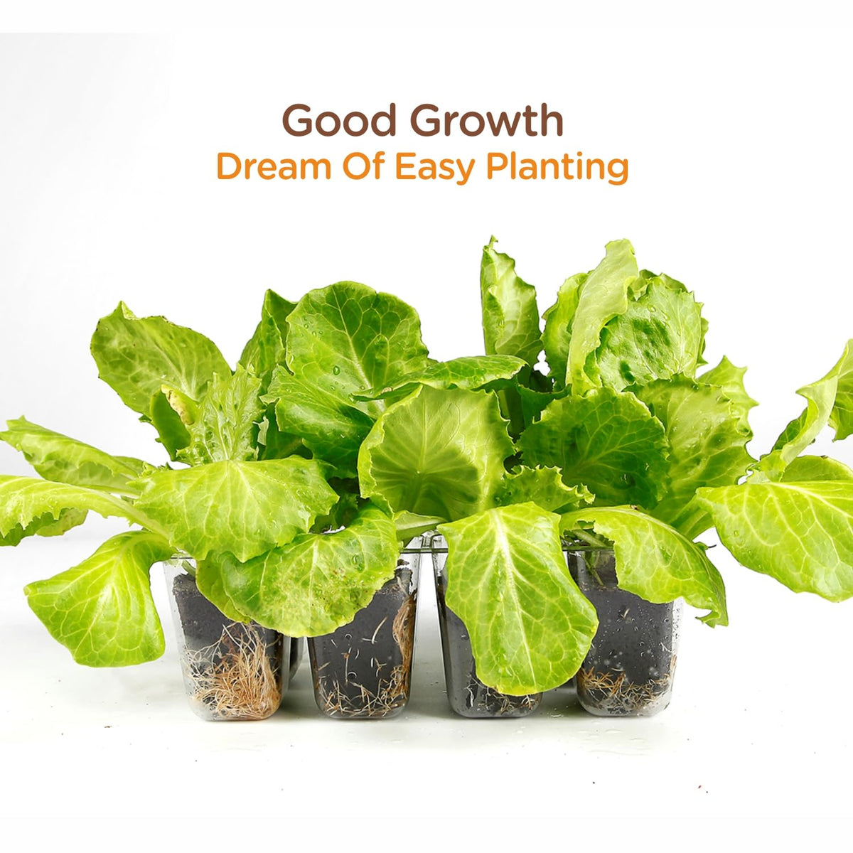 Hapxalie standard clone tray fit plugs simplify indoor gardening.