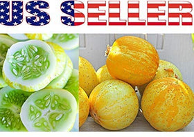 Harley Seeds 100 Cucumber Mix – Armenian cucumber: long, refreshing slicer for salads.