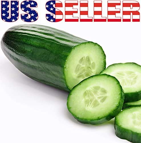 Harley Seeds 100 Cucumber Mix – Bianco Lungo Long White: elegant cucumber for modern salads.