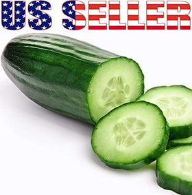 Harley Seeds 100 Cucumber Mix – Bianco Lungo Long White: elegant cucumber for modern salads.