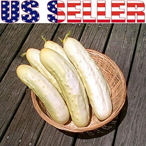 Harley Seeds 100 Cucumber Mix – Long Green: vigorous vine with generous harvest potential.