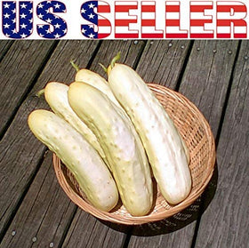 Harley Seeds 100 Cucumber Mix – Long Green: vigorous vine with generous harvest potential.